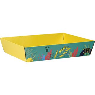 Corbeille carton rectangle SAVEURS ESTIVALES rouge/jaune/vert livre  plat (dim. corbeille monte) 