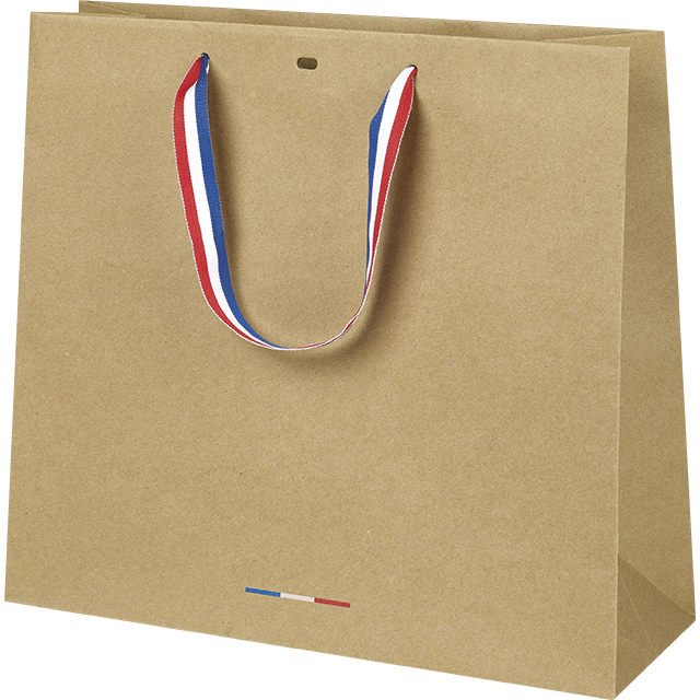Bag paper kraft blue/red/white ribbon handles eyelet