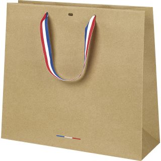 Bag paper kraft blue/red/white ribbon handles