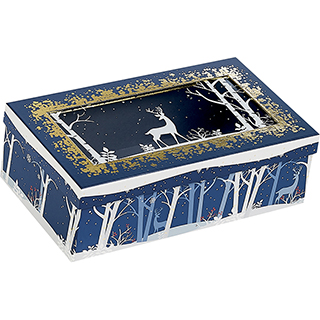 Coffret carton rectangle bleu/blanc/dorure  chaud or fentre PET dcor Fort/Renne 