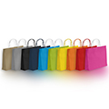 Bag paper kraft smooth 90g side twisted colored handles